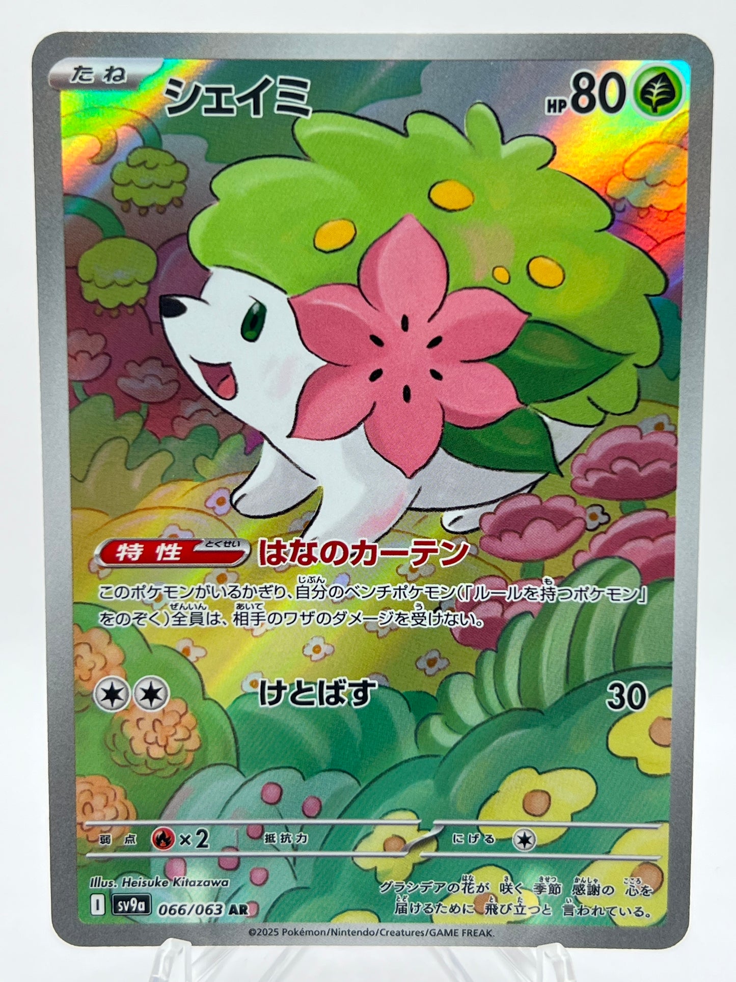Shaymin (JP)